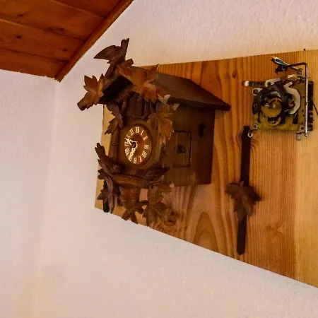 Feldbergstern Lejlighed Feldberg (Baden-Wurttemberg)