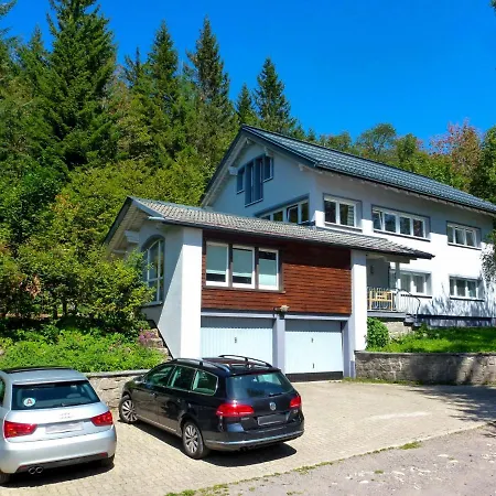 Feldbergstern